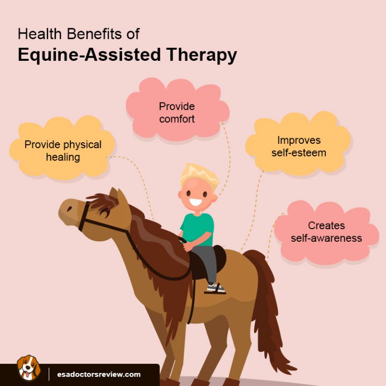 How to Use Emotional Support Horses for Your Mental Health