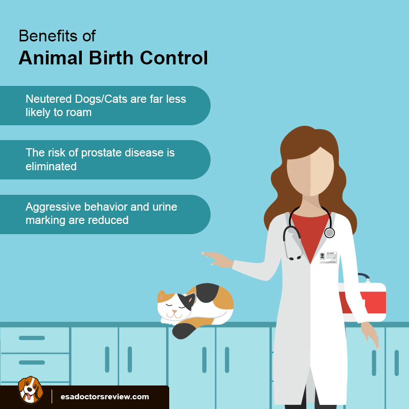 Methods of Animal Birth Control for Emotional Support Animals