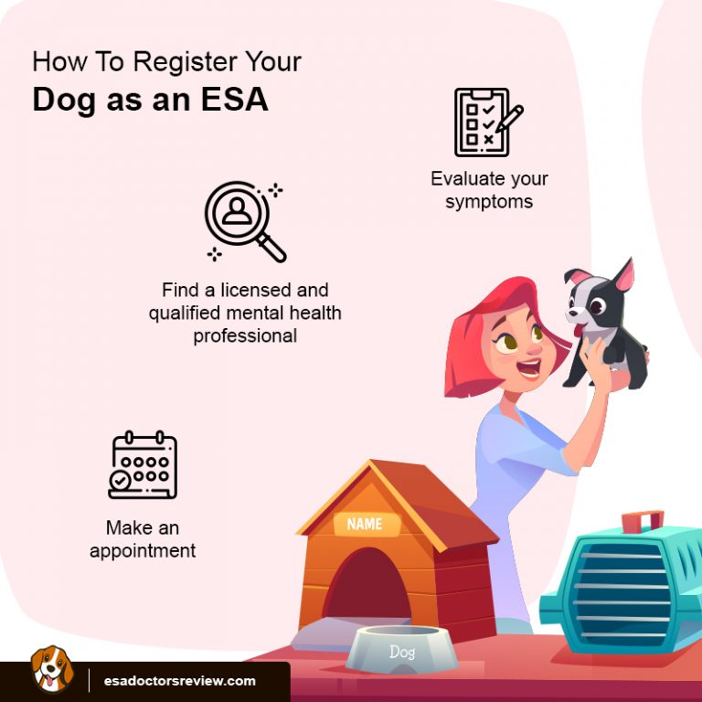 How To Register Your Dog As An ESA? A Step-by-step Guide