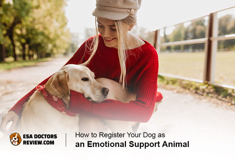 How to Register Your Dog as an ESA? A Step-by-step Guide